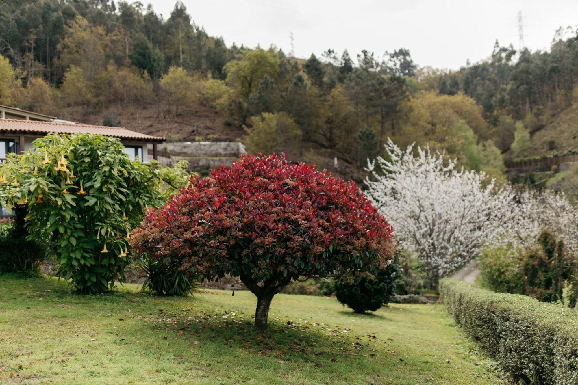 Quinta Do Bento Hotell Vieira do Minho Exteriör bild